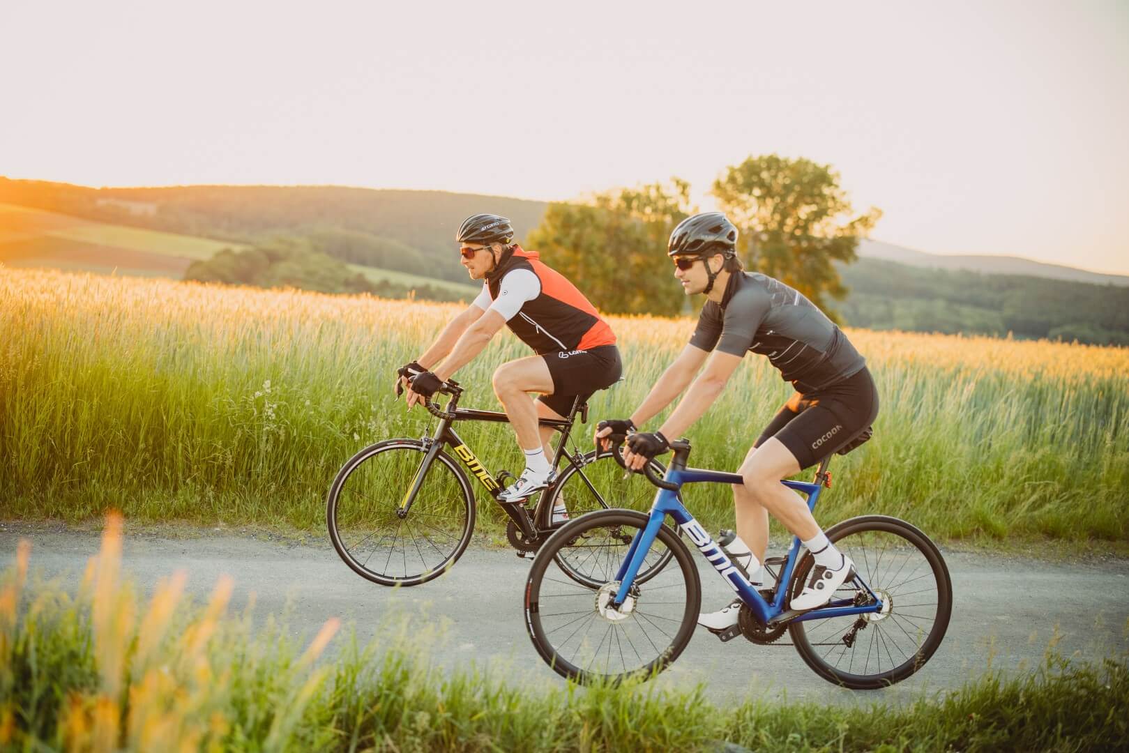 Zwei Radfahrer fahren bei Sonnenuntergang durch ein Feld, mit goldenem Licht, das die Szene erleuchtet.