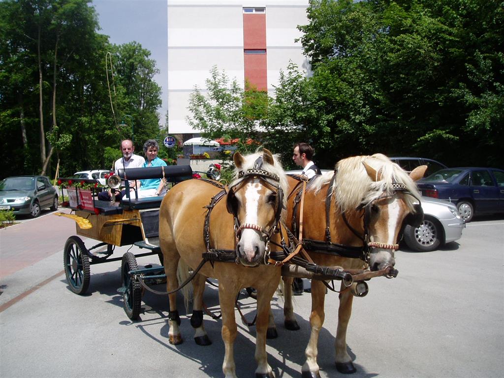 Eine Pferdekutsche mit zwei hellbraunen Pferden, die Fahrgäste durch eine städtische Straße fährt.