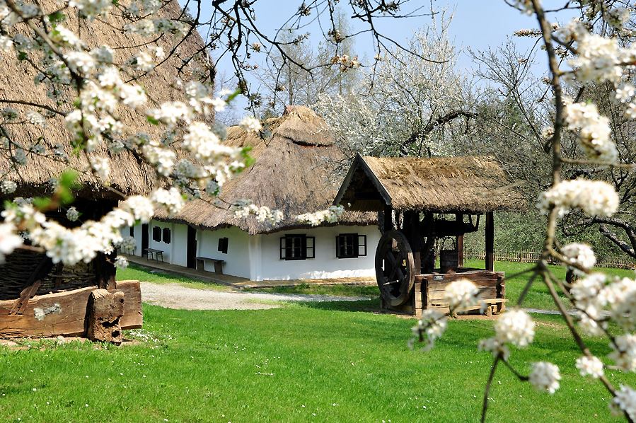 Traditionelle ländliche Hütten mit Strohdächern und einem alten Holzbrunnen, umgeben von blühenden Bäumen im Frühling.